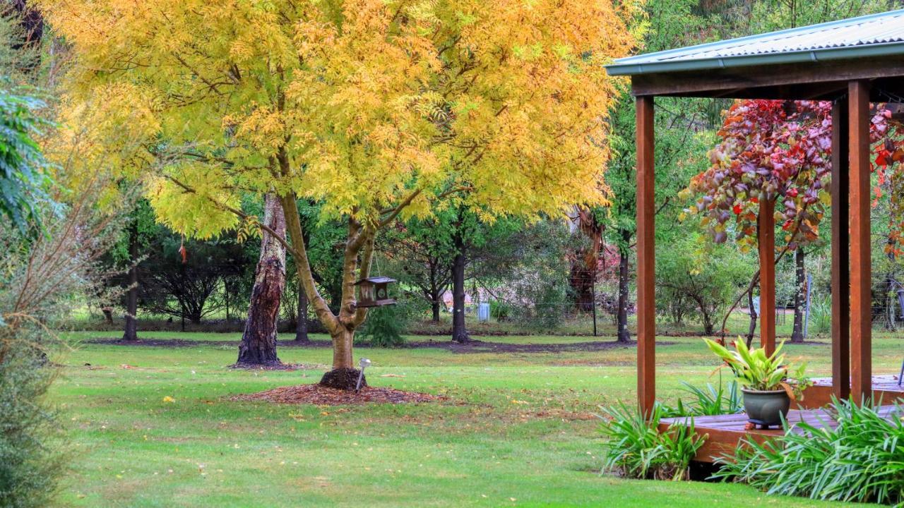 Beechworth Cedar Cottages エクステリア 写真